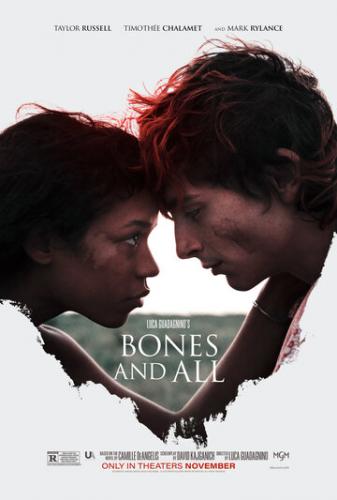 Фильм Целиком и полностью / Bones and All (2022)